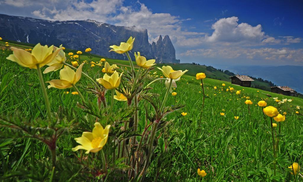 Garni Alpin Siusi Exterior foto